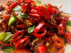 -老板恋上鱼(恒隆广场店)