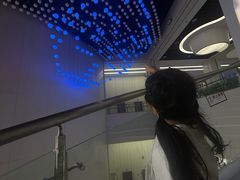 -厦门诚毅自然探索馆