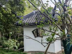 -秋霞圃