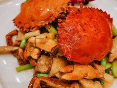 姜葱炒肉蟹-新南华大酒店(广中店)
