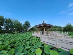 -福如东海文化园