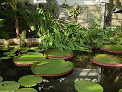 -国家植物园南园