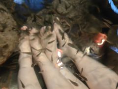-宁海森林温泉