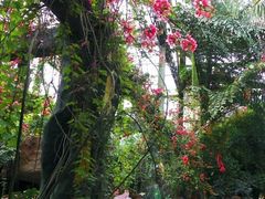 景点-祥源·阜阳生态乐园