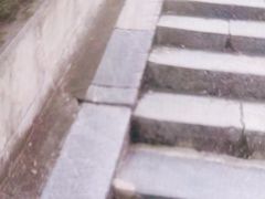 -伯先公园