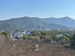 -香雪海