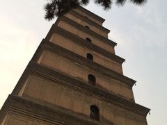 -清真盛志望麻酱酿皮·非遗老字号