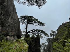 -黄山风景区