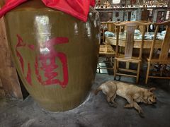 -青城甲(青城山店)