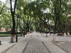 -山东大学(趵突泉校区)
