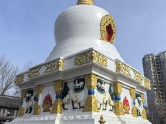 -护国法轮寺