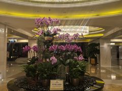 -宝利来国际大酒店(机场店)