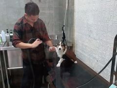 -宠物梦想家(日月豪庭店)