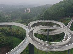 -光明小镇欢乐田园
