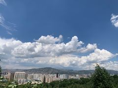 -青藏高原野生动物园