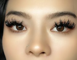 点击看大图 -171 Naillife