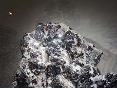 -甘肃地质博物馆