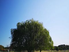 -钟山体育运动公园