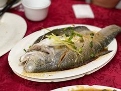 -蛇口康乐快餐鱼仔档(翠苑小区店)
