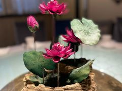 -琬苑鸽庄·川粤融合菜(解放碑总店)