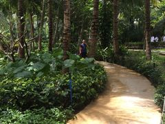 -三亚湾海居铂尔曼度假酒店