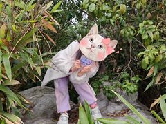 -金鸡湖桃花岛
