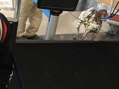 -奥黑尔国际机场