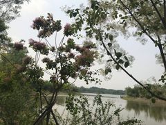 -东郊湿地公园