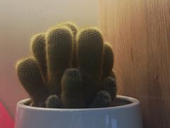 -宸玥酒店(成都西南财大地铁站店)