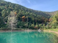-九龙潭景区