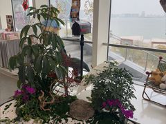 -朵云书院(滴水湖店)