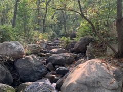 -云岫谷游猎自然风景区