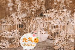 -DC大蔡婚礼策划(李公堤店)