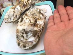 -日照大牌檔•小船海鲜(万平口店)