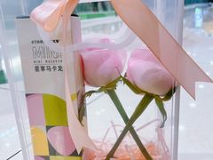 -星巴克(青浦宝龙店)
