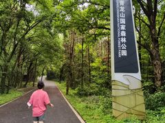 -青龙山国家森林公园