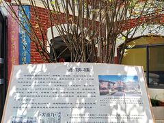 -庾园