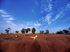 -汉长安城未央宫国家考古遗址公园