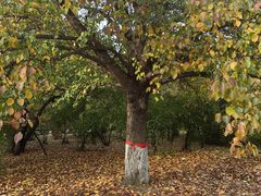 -黑龙江中医药大学