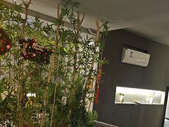-施奈儿.洗头頭療.按摩SPA.采耳(上梅林店)