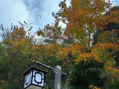 -韶关经律论国际酒店温泉