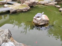 -木兰水镇旅游景区