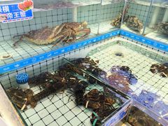 -大锅强·蒸海鲜青岛菜(金沙滩店)