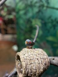 -Zoolung Zoolung动物主题公园(海信广场店)