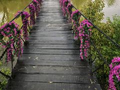 -南汇桃花村