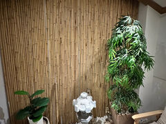 -锦初·禅意4K影院式足道·新中式SPA(茂业天地店)