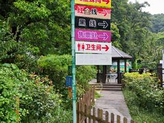 -天鹿湖森林公园