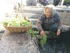 -前童古镇