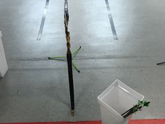 -蓝天射箭馆·专业射箭运动(诚丰广场店)