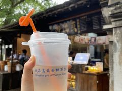 -乌镇西栅景区